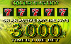 Обзор игрового автомата Reely Bingo