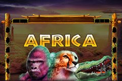 Фруктовые дикие слоты