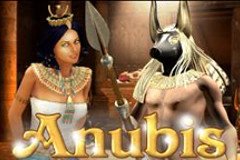 Обзор игрового автомата Reely Poker