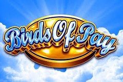 Фрукты ушли дикие слоты