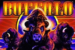 Hot Sync Игровой автомат