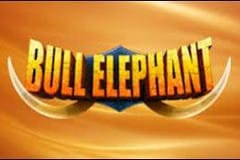 Слот Токио Ночи Слот Токио Ночи