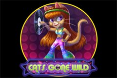 Обзор игровых автоматов Mad Piñatas