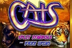 Сокровище рифа игровой автомат Сокровище рифа игровой автомат