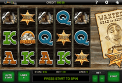 Слот арктического безумия