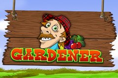 Ведьма и Волшебник Игровой Автомат