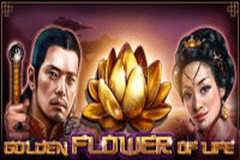 Vichinghi Слоты