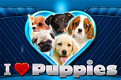 Игровой автомат причудливых бандитов