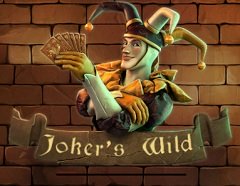 Buffalo Spirit Slots