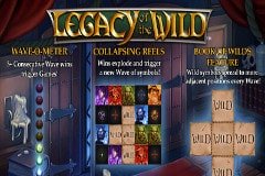 Утиный слот