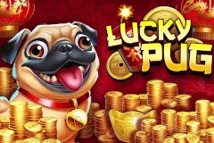 Zombie Bar Игровой автомат