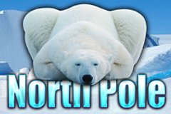 Игровой автомат Raging Rhino