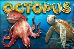 Слот вне закона