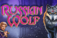 5 слотов для барабанов 5 слотов для барабанов