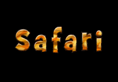 Слоты для рыбы и чипсов