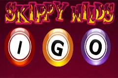 Reel Groovy Игровой автомат