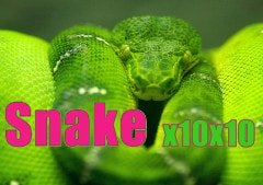 Слот-машина Magic of Oz