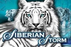 Слоты Покемун