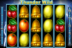 Игровой автомат Viking Fury Игровой автомат Viking Fury