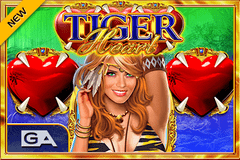 2 жирных кота