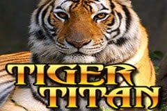 Lucky Shamrock Слот