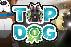 Слоты докторских заказов