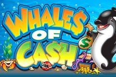 Слоты Призрачных Пиратов