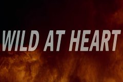 Звезды и Полосы Слот