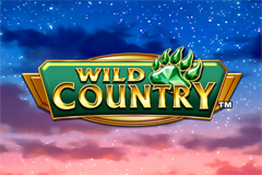 Огненная Буря Слоты