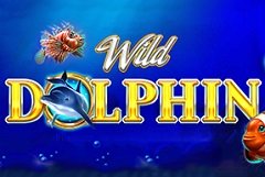 High Rollers Игровой автомат