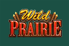 Гоночные слоты