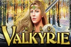 Слоты для тропического сока