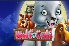 Золотой игровой автомат Клеопатры